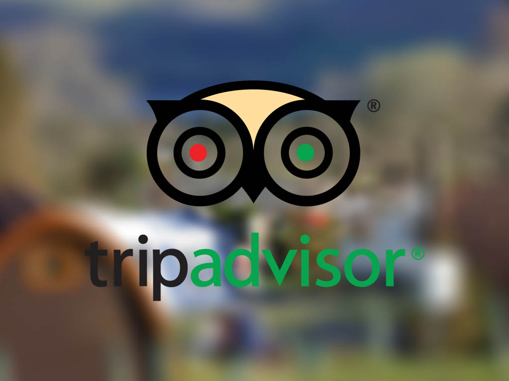 tripadvisor-logo